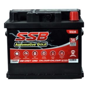 ss36
