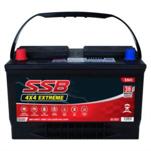 SS65
