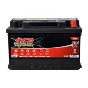 ss66