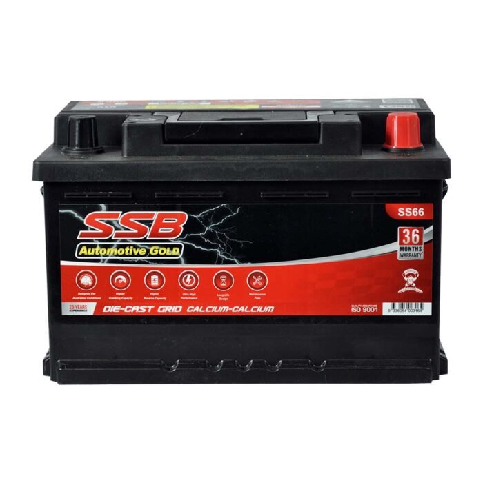 ss66